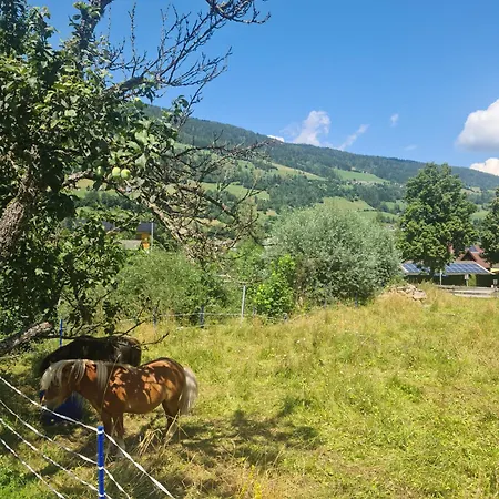 Casa vacanze Kreischberg Superior With Sauna