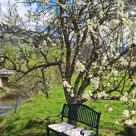 Kreischberg Superior With Sauna Casa vacanze *