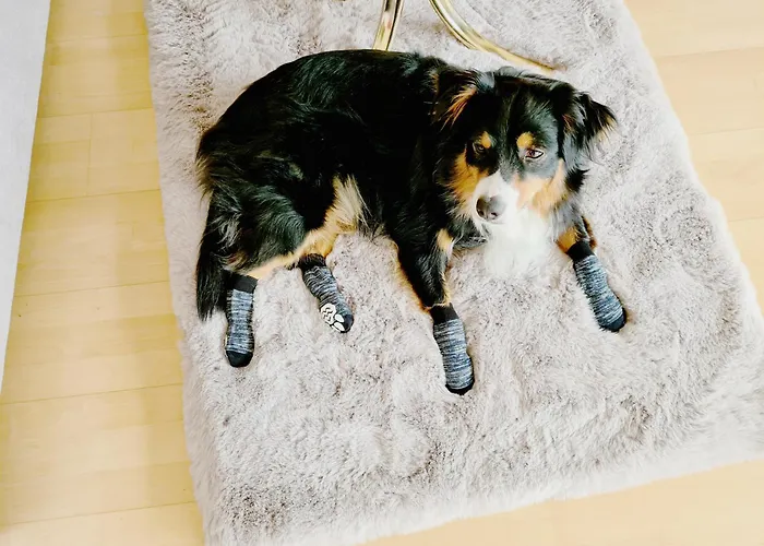 Casa vacanze Kreischberg Superior With Sauna Sankt Lorenzen ob Murau