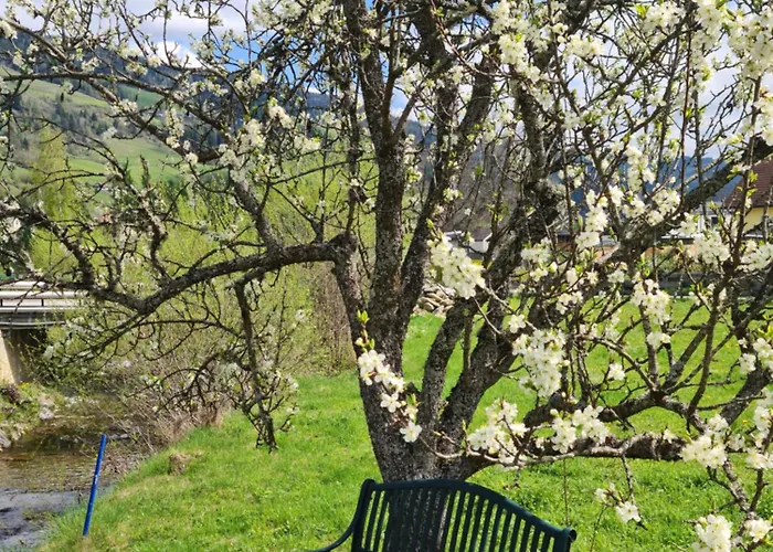 Kreischberg Superior With Sauna Hébergement de vacances *